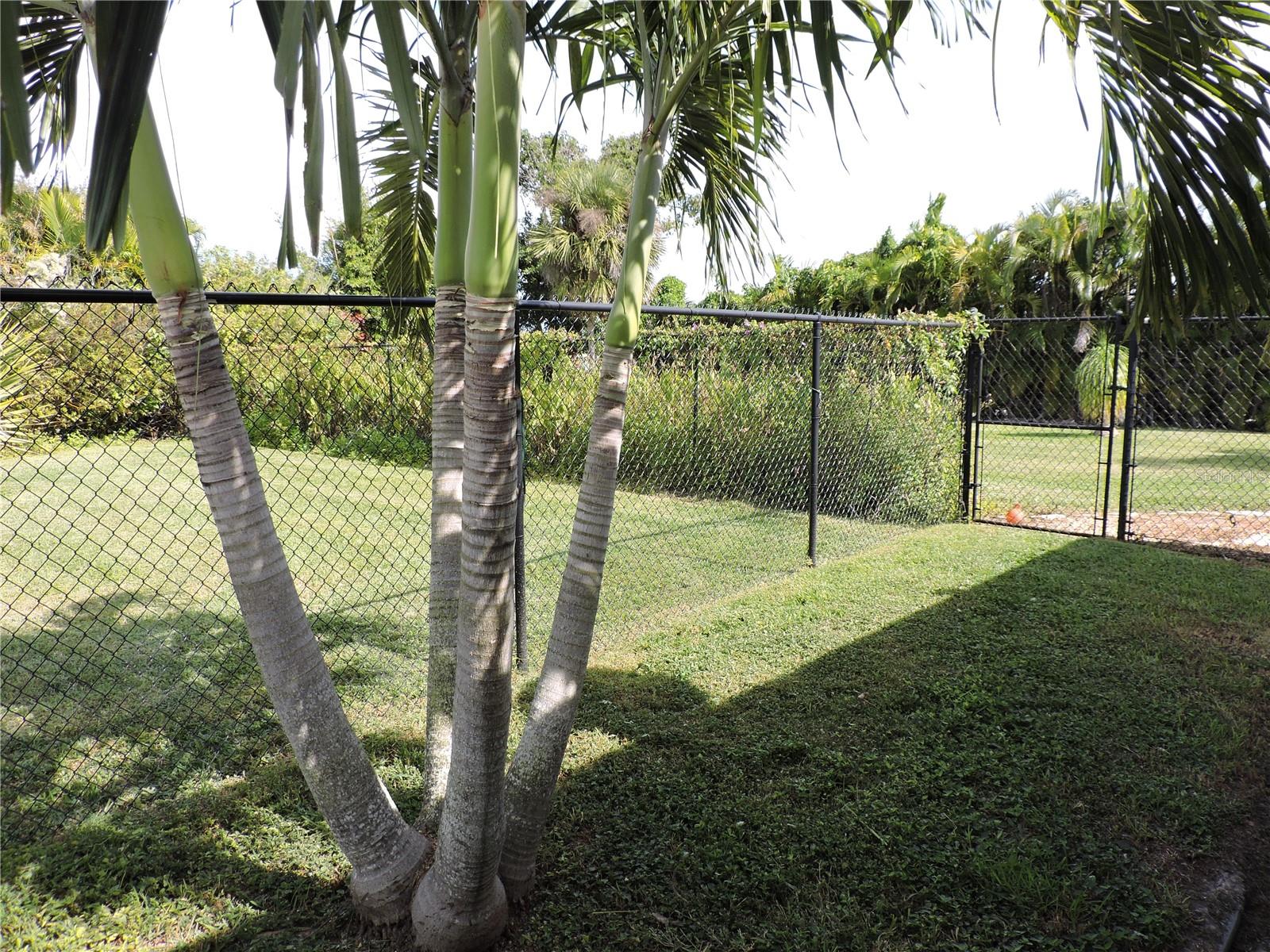 Image 63 of 65 For 8170 Casa De Meadows Drive