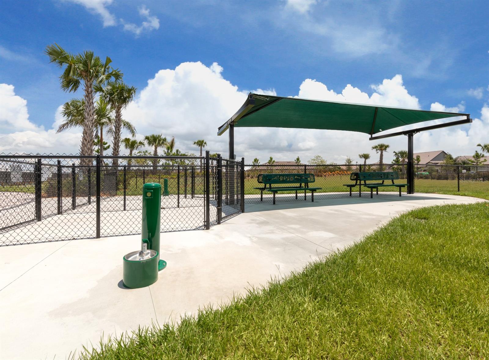 Image 55 of 93 For 13210 Ipolita Street