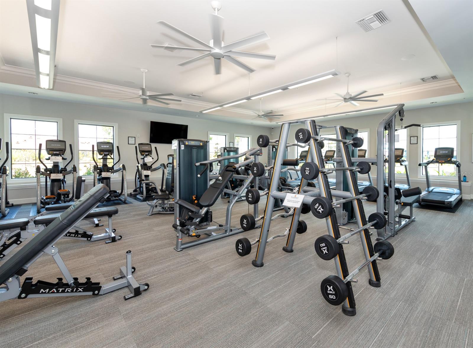 Image 59 of 93 For 13210 Ipolita Street