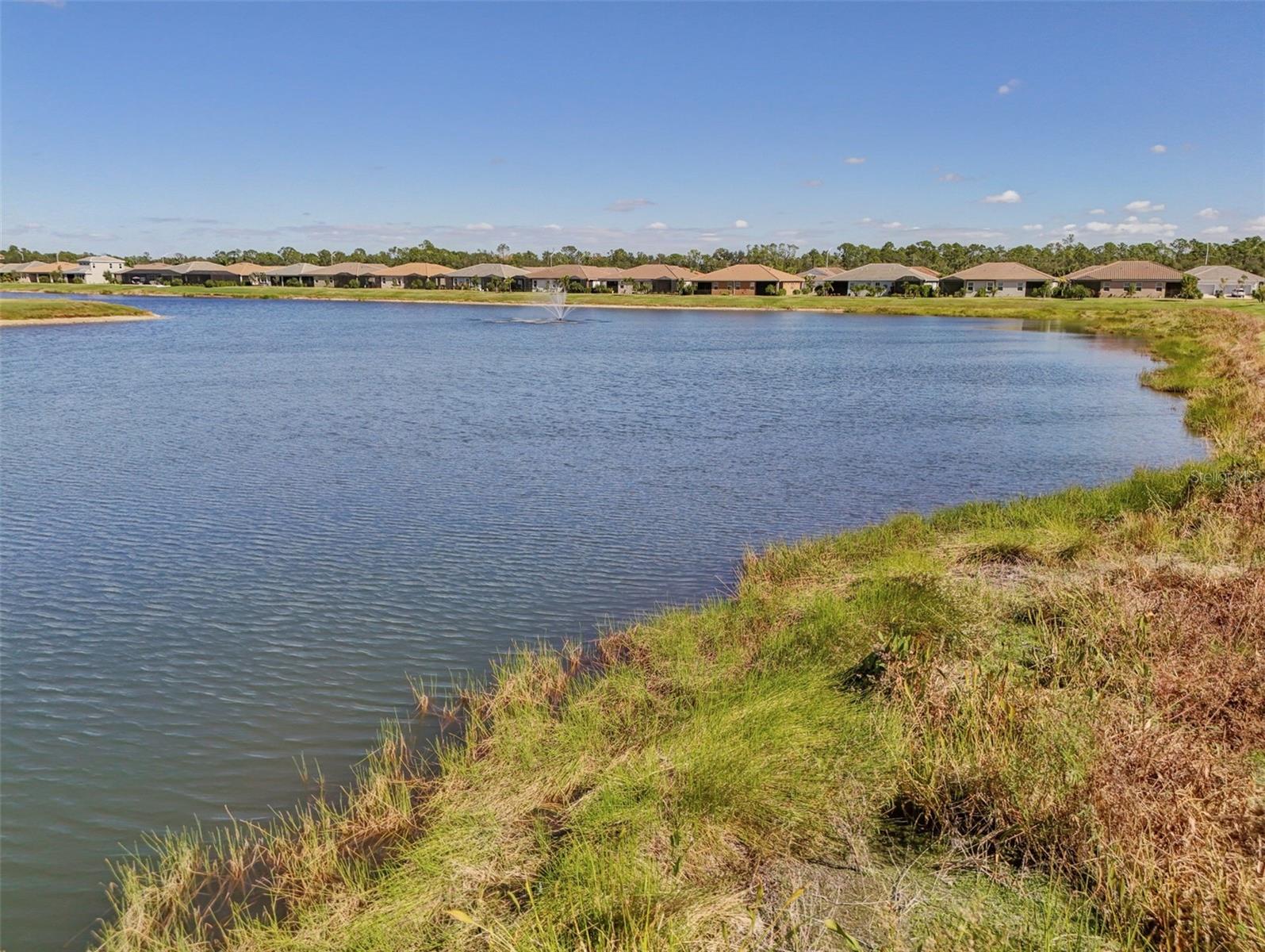 Image 58 of 91 For 11786 Sistine Lane