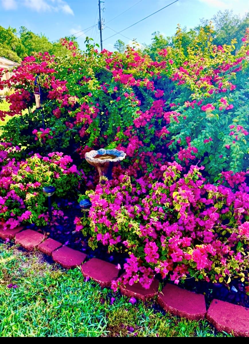 Image 28 of 37 For 3950 Derrick Street