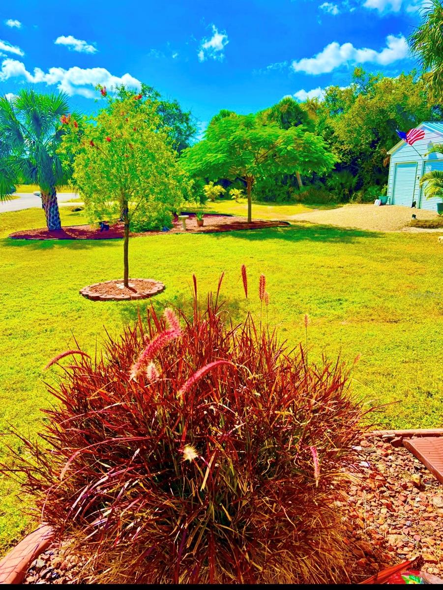 Image 29 of 37 For 3950 Derrick Street