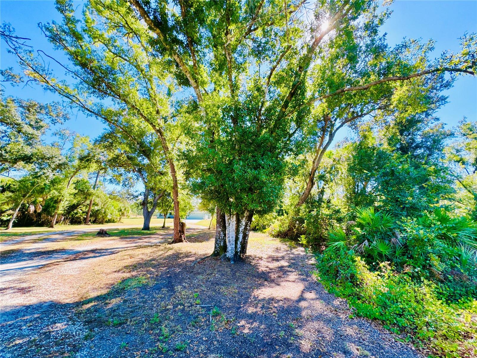 Image 13 of 69 For 6470 Raymur Street