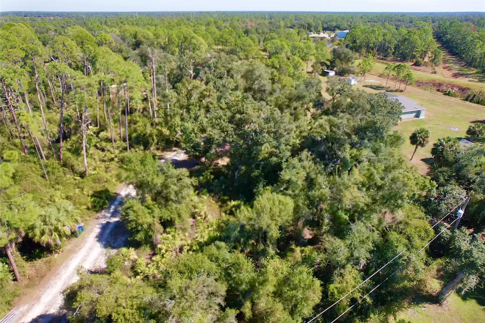 Image 56 of 69 For 6470 Raymur Street