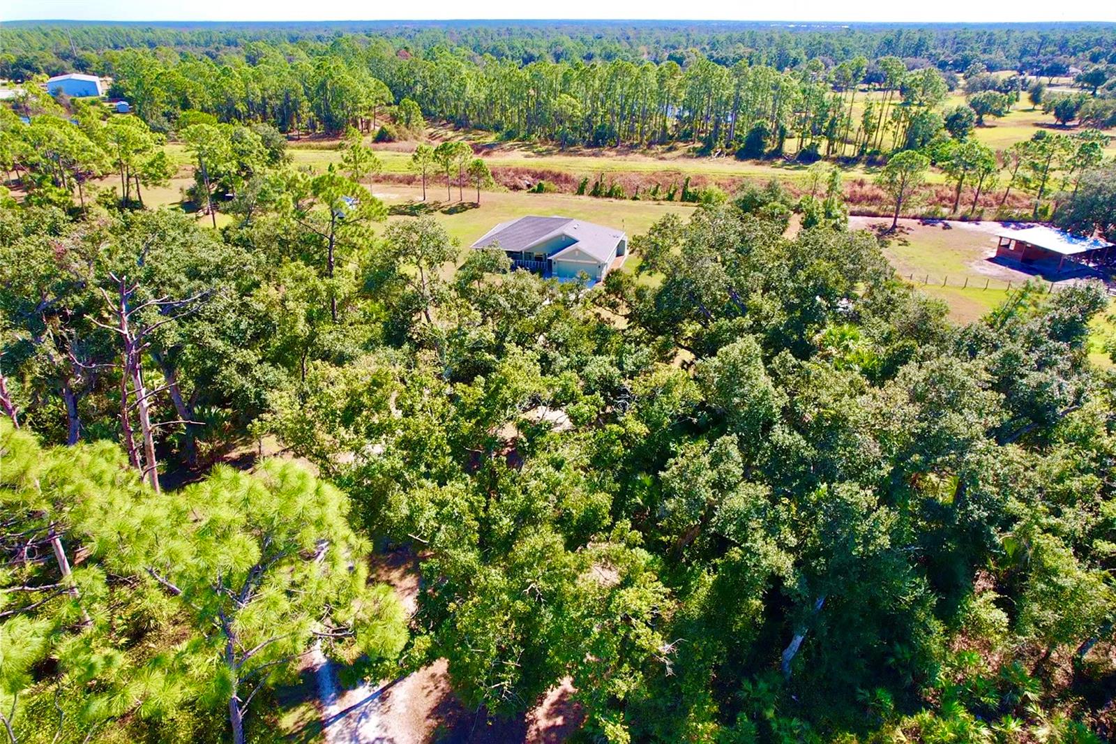 Image 57 of 69 For 6470 Raymur Street