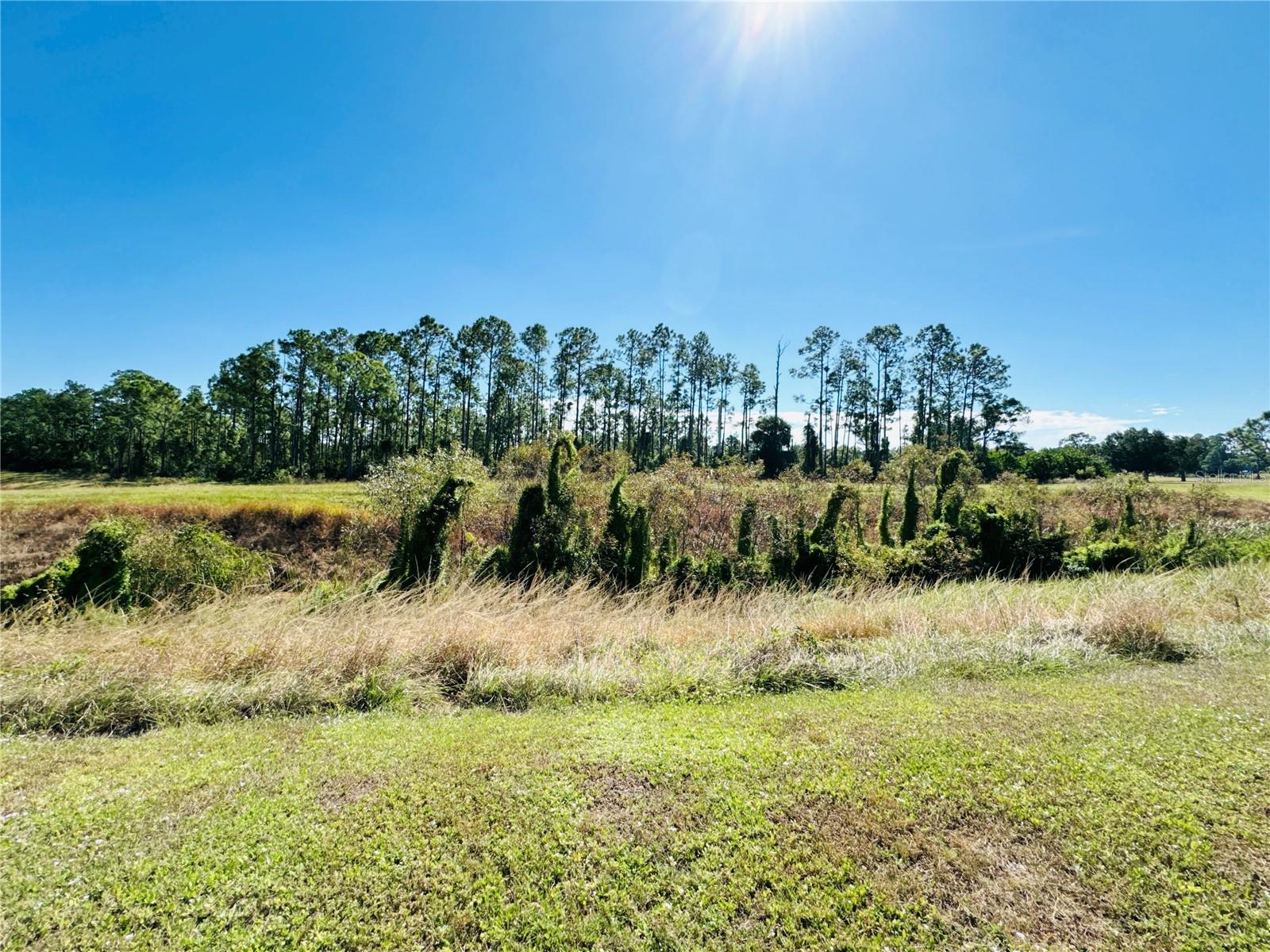 Image 68 of 69 For 6470 Raymur Street