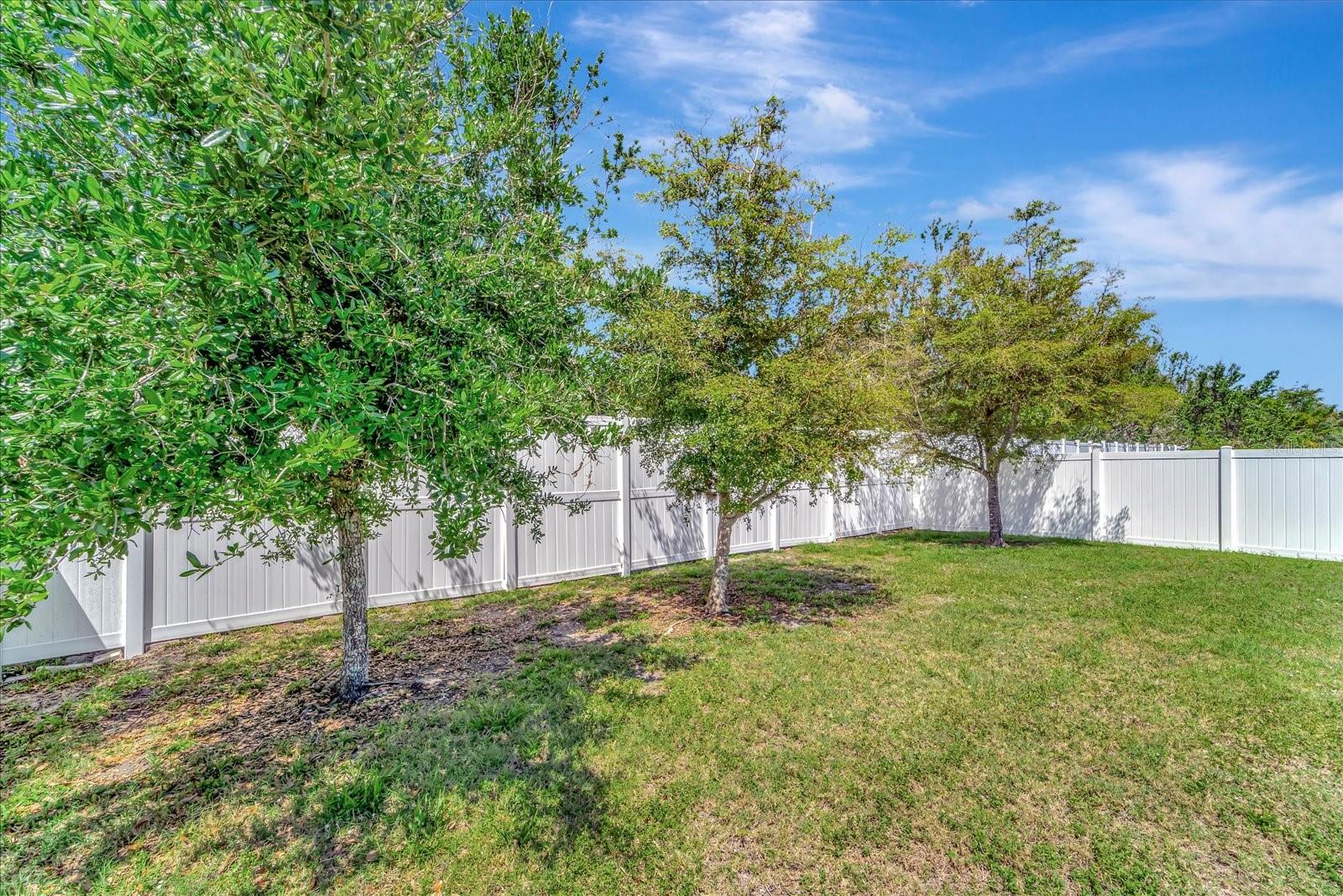 Image 44 of 48 For 8997 Excelsior Loop