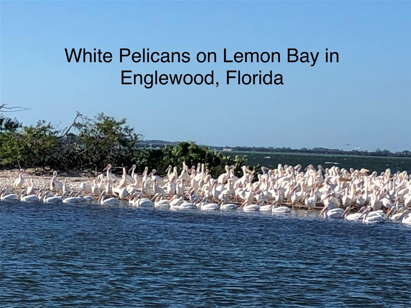 Image 97 of 98 For 26 Golf View Drive