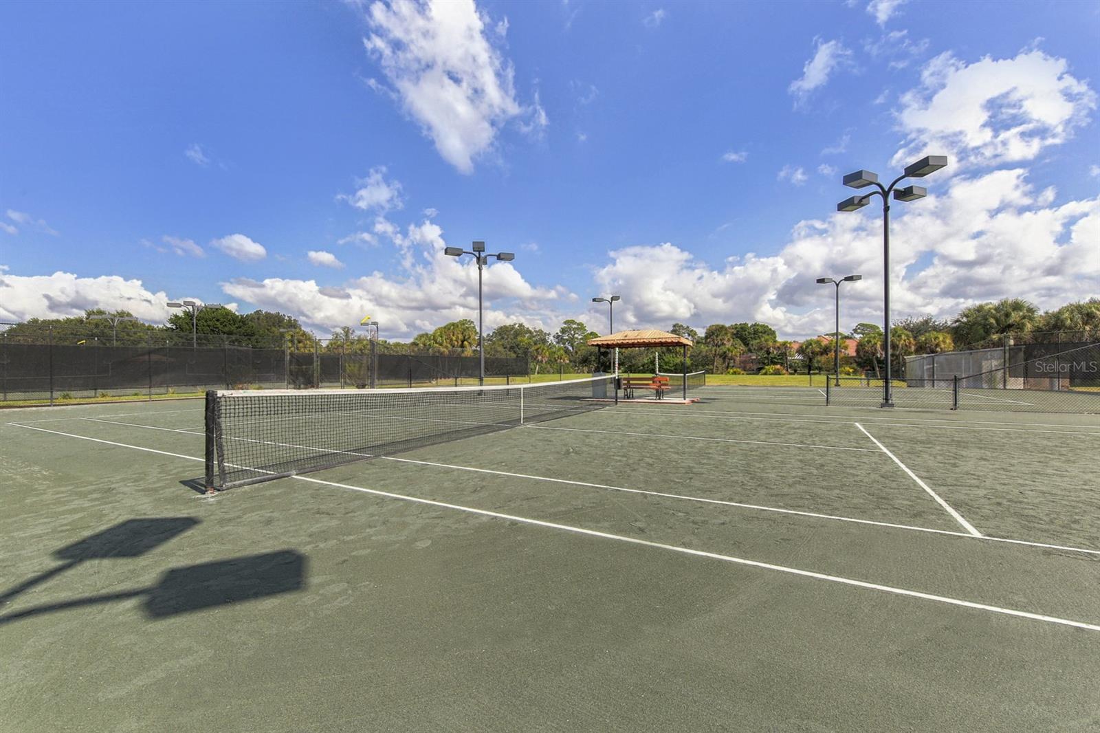 Image 41 of 60 For 26825 Weiskopf Drive