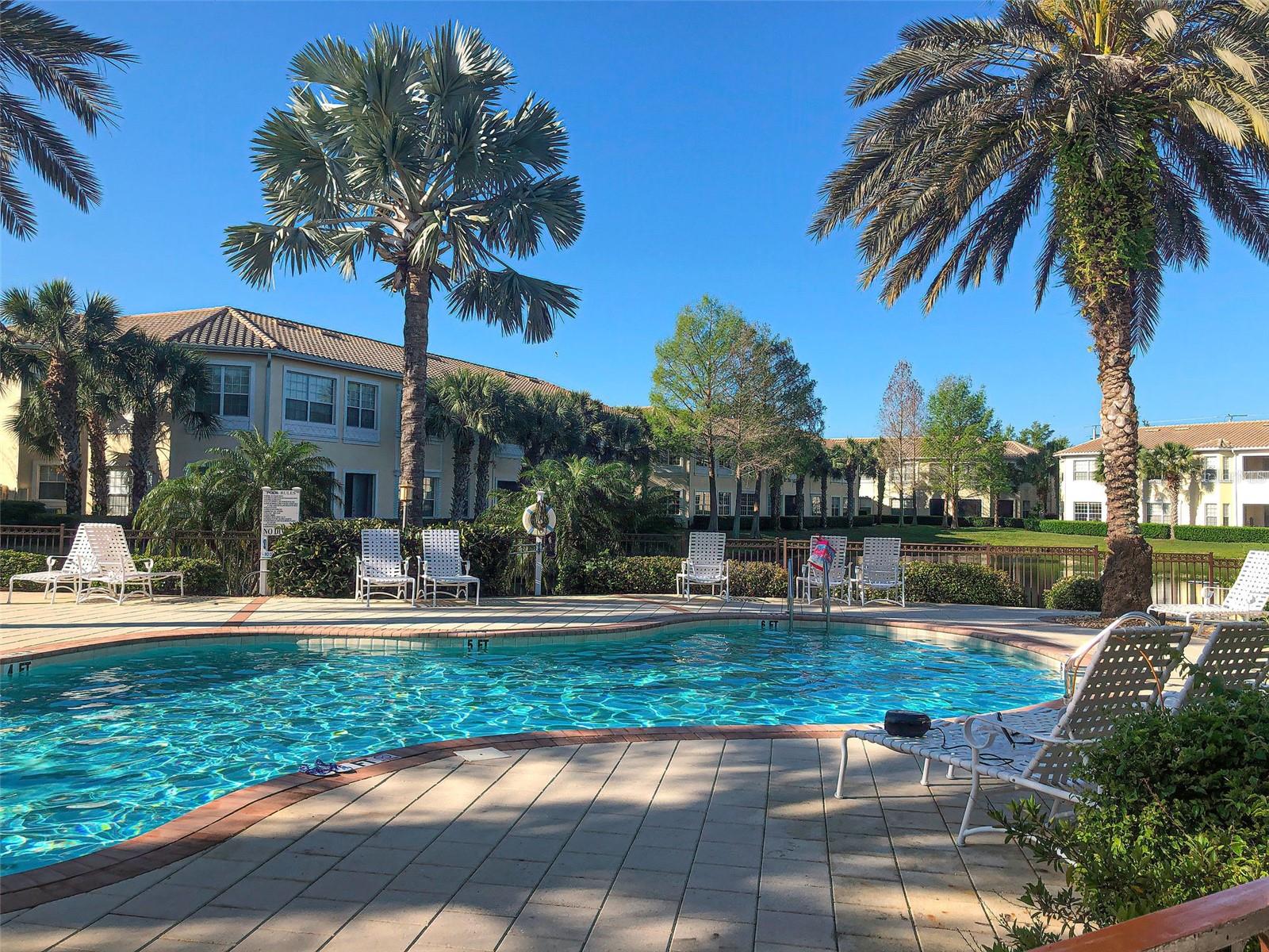 Image 3 of 62 For 1704 Triano Circle 1704