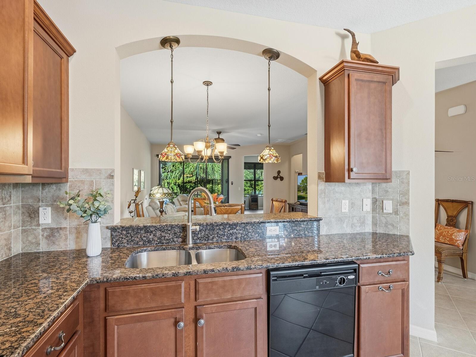 Image 18 of 46 For 11480 Bertolini Drive