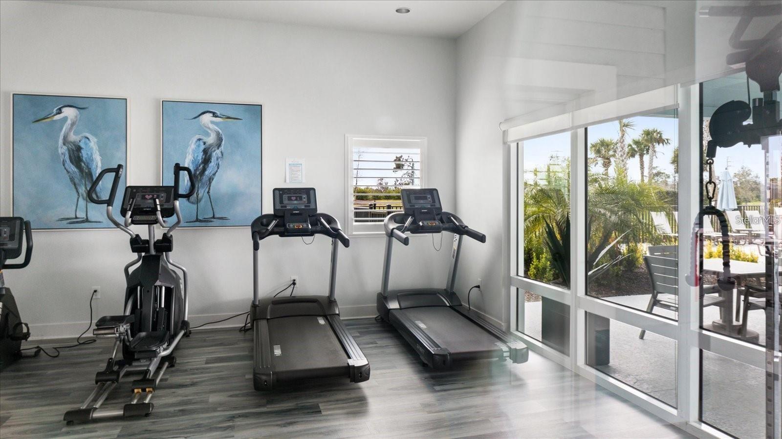 Image 24 of 28 For 2009 Mackerel Street