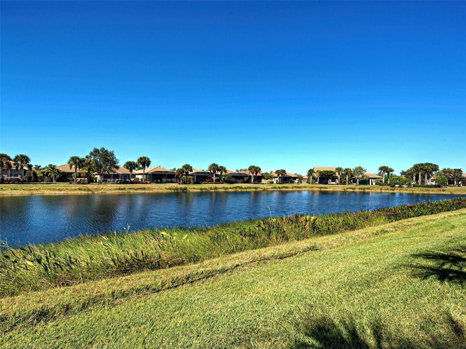 Image 4 of 91 For 19157 Serafina Street