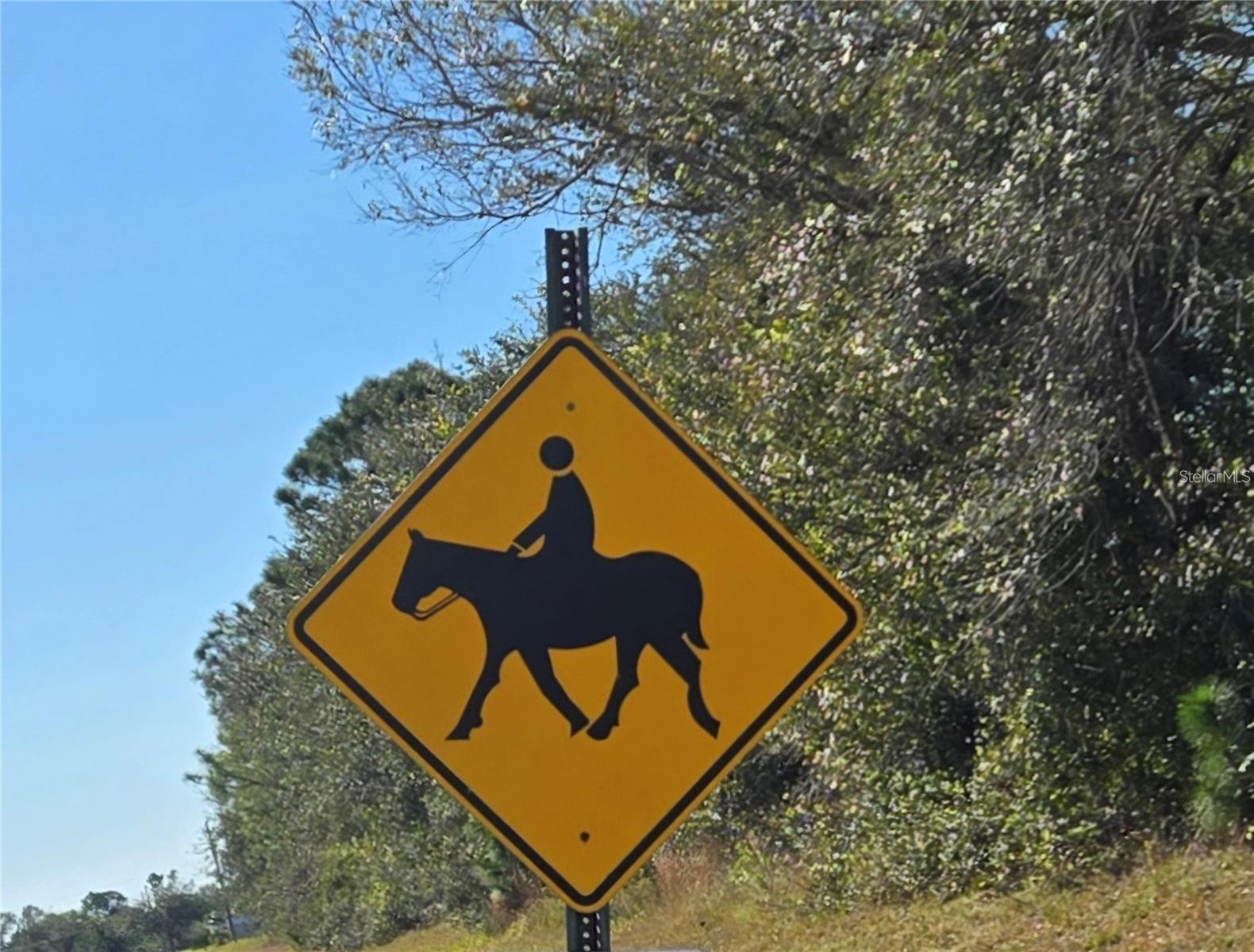 Image 48 of 55 For 3740 Hidden Valley Circle