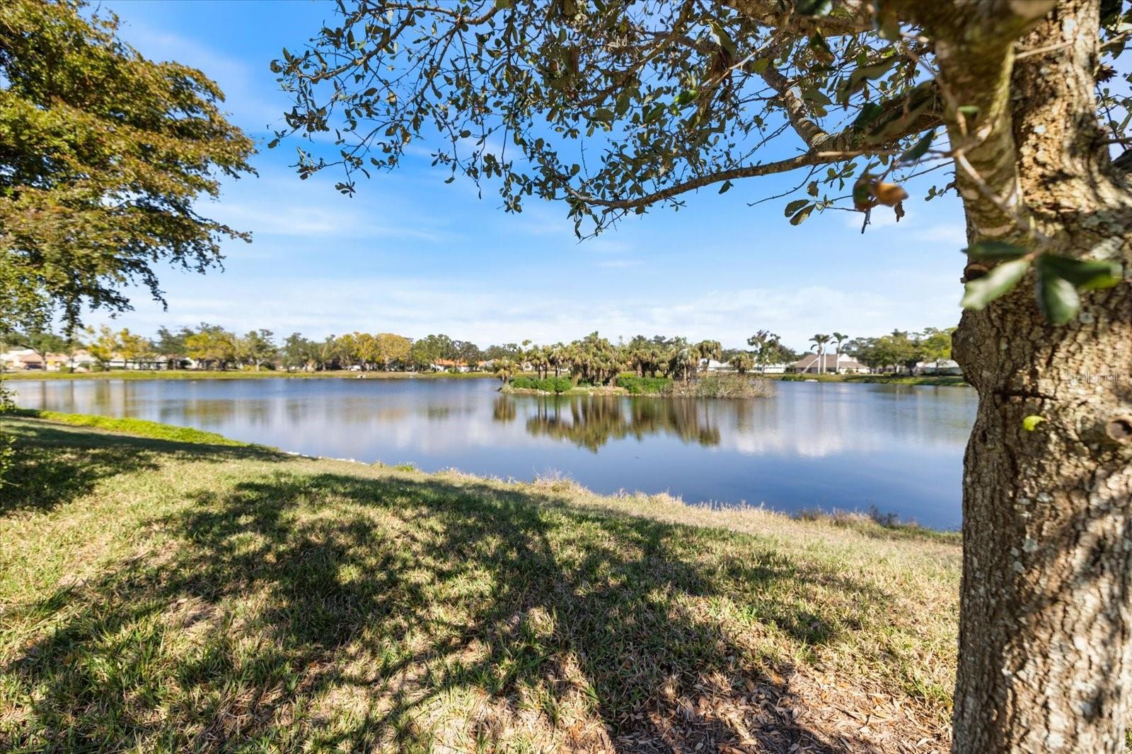 Image 46 of 50 For 615 Sugarwood Drive