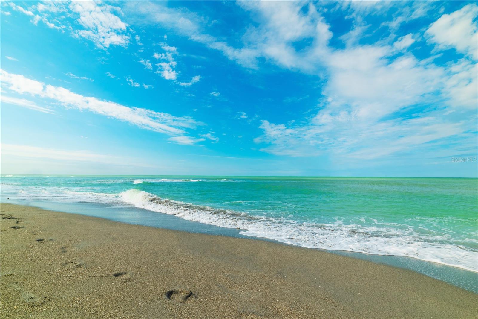 Image 59 of 59 For 205 Tracino Terrace