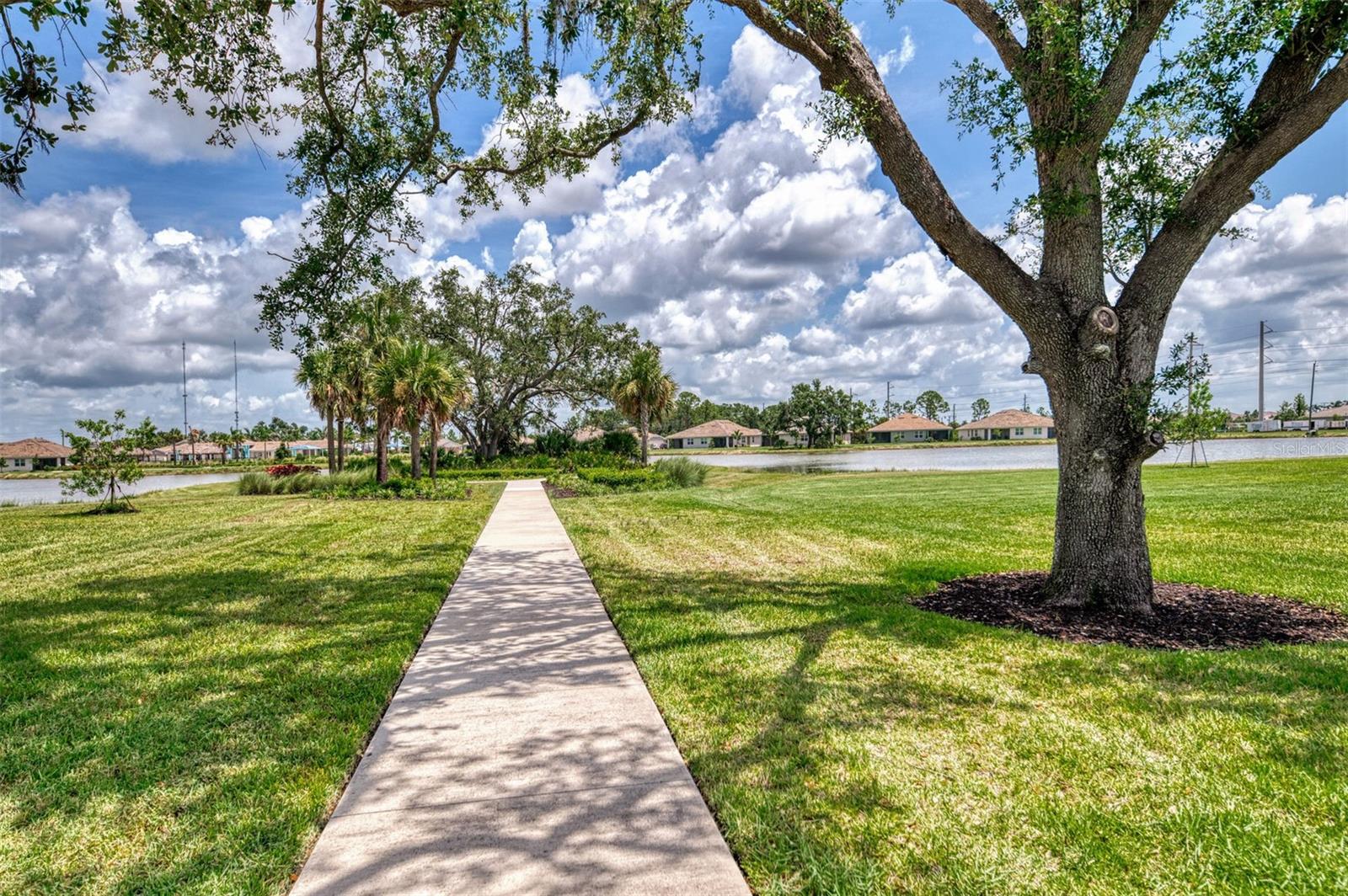 Image 49 of 60 For 387 Ibiza Loop