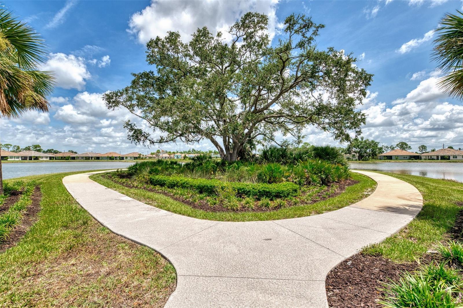 Image 51 of 60 For 387 Ibiza Loop