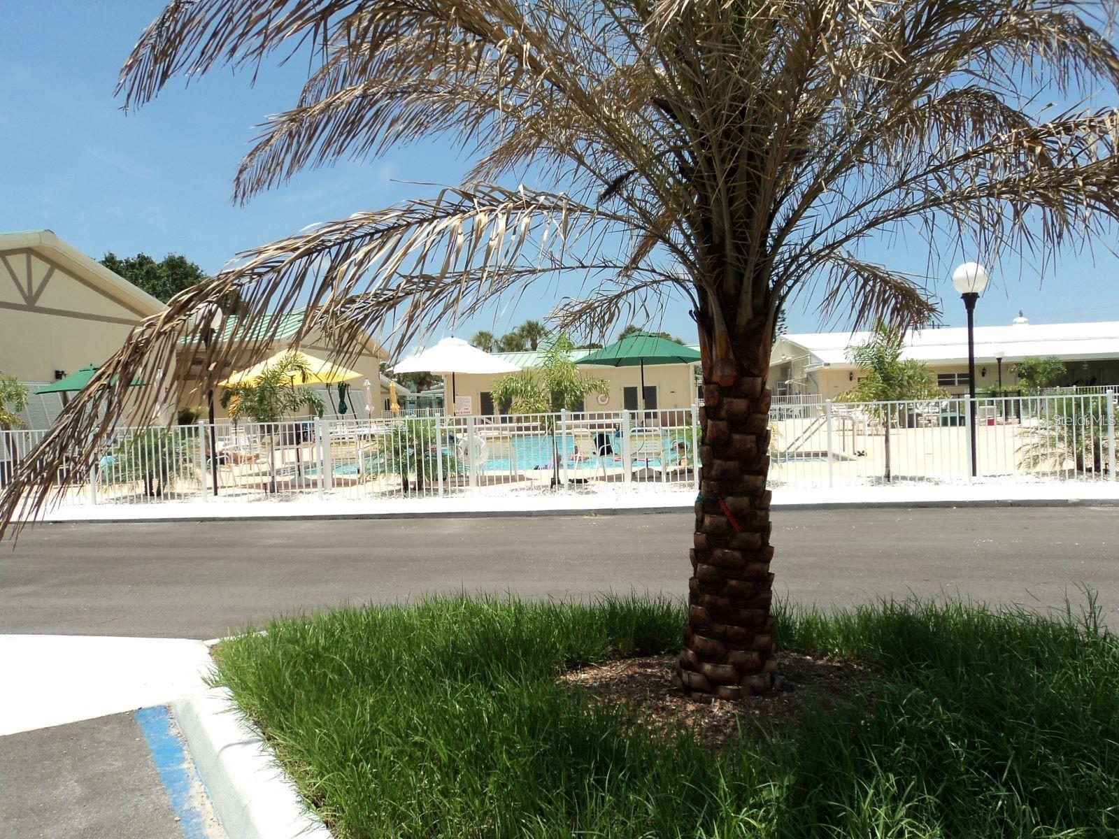 Image 26 of 29 For 701 Green Circle