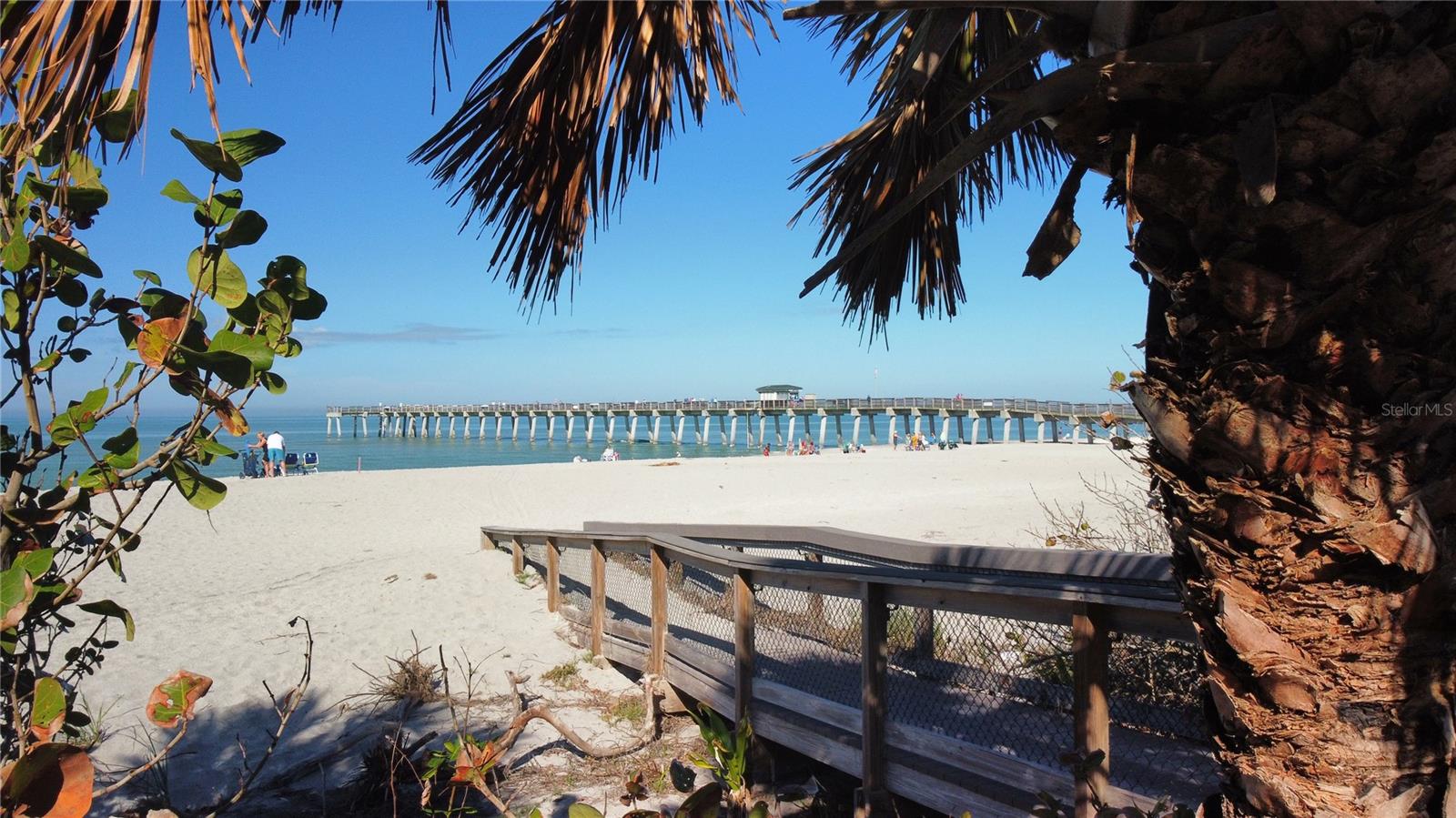 Image 41 of 43 For 157 Tampa Avenue E 706