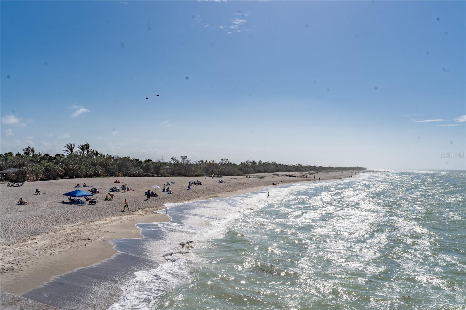 Image 50 of 53 For 157 Tampa Avenue E 706