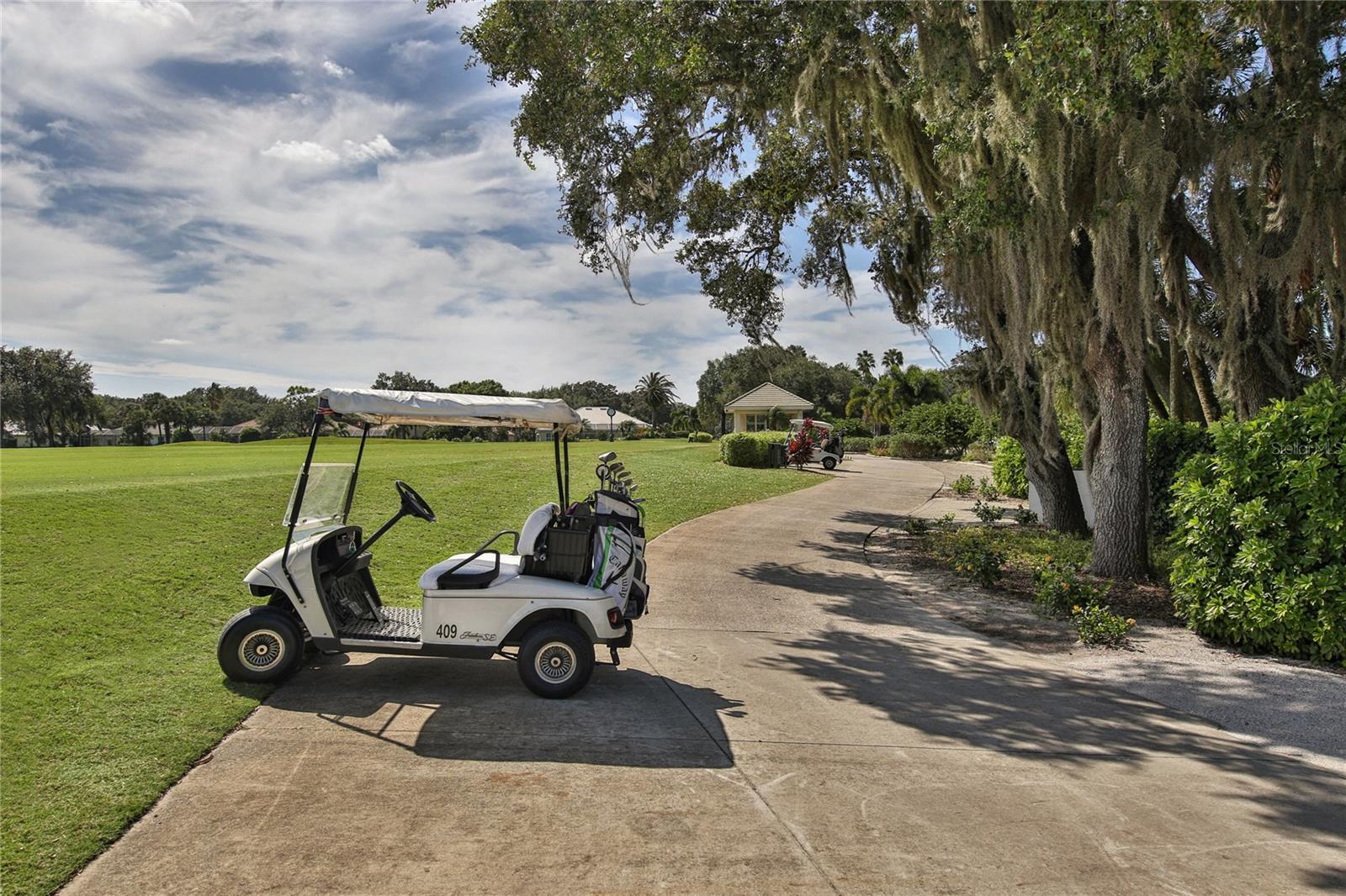 Image 46 of 60 For 489 Summerfield Way