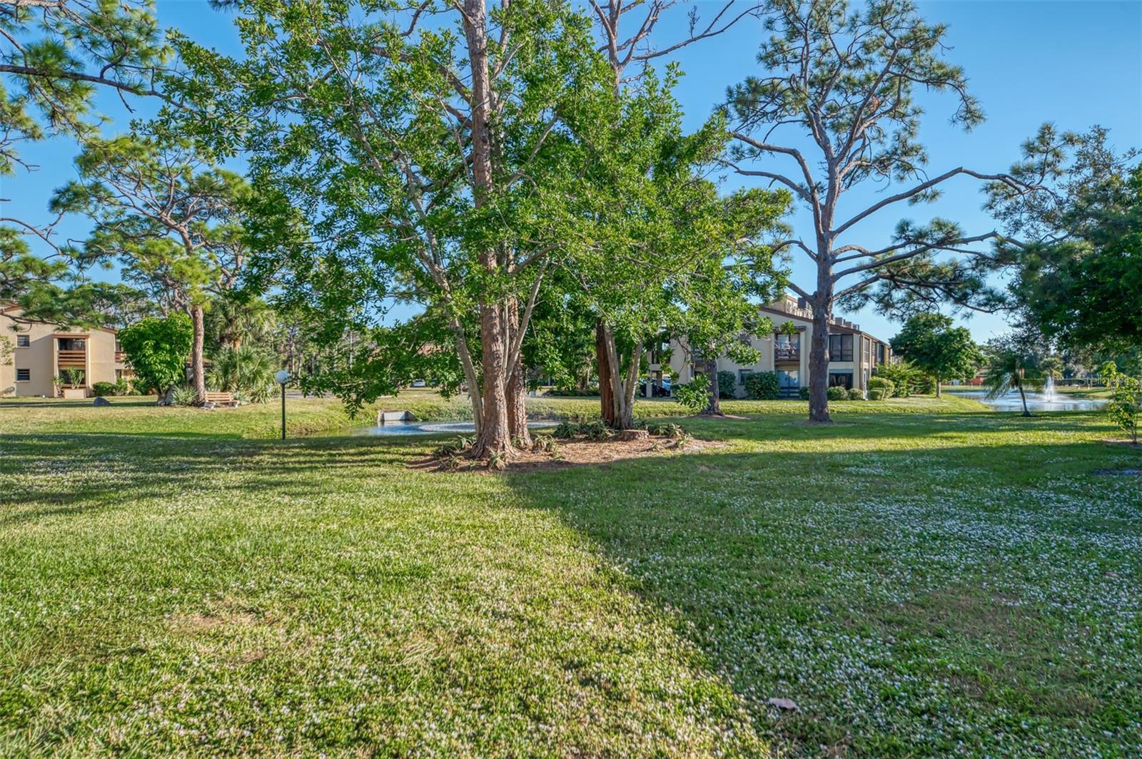 Image 37 of 62 For 10 Quails Run Boulevard 6