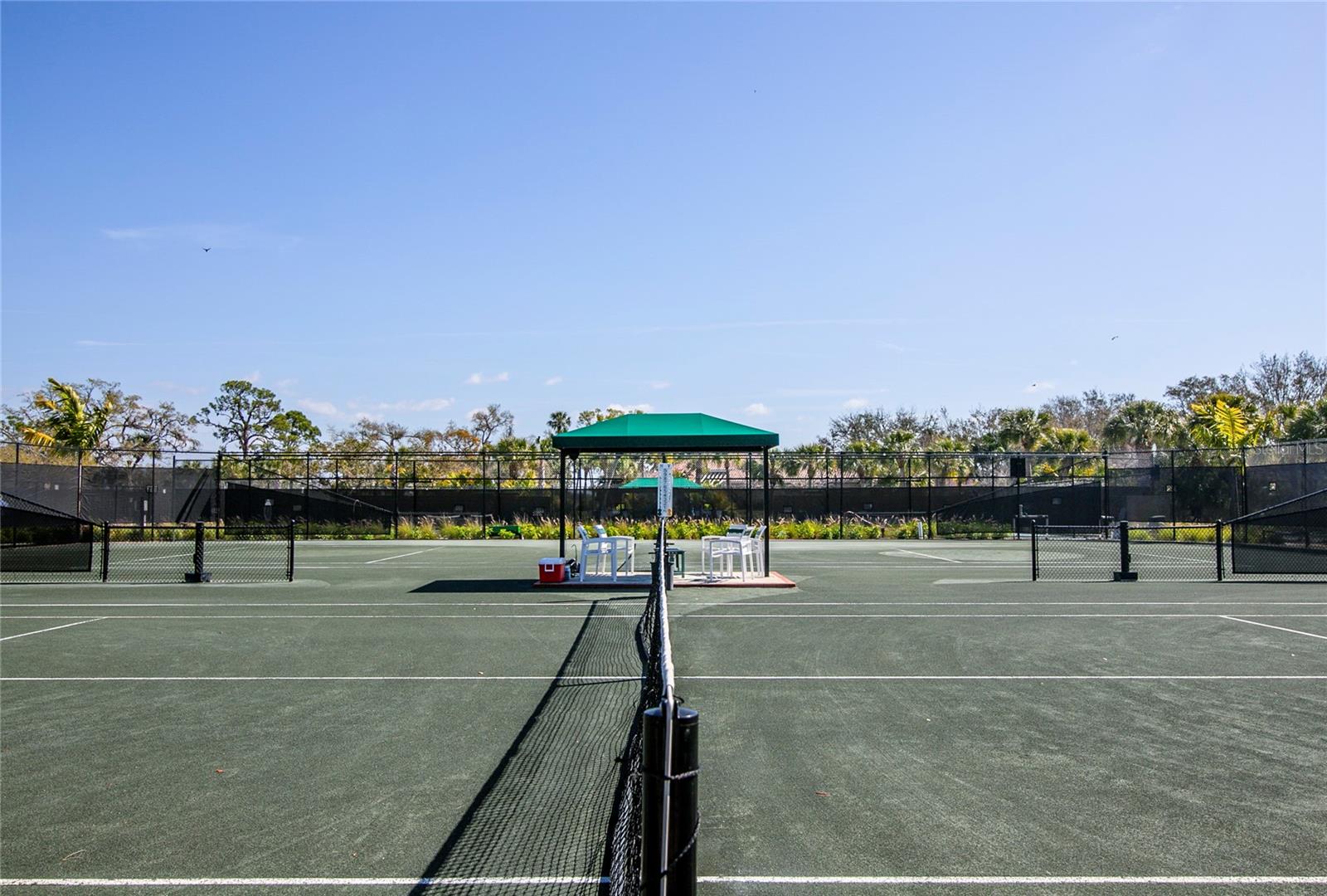 Image 50 of 55 For 10788 Trophy Drive