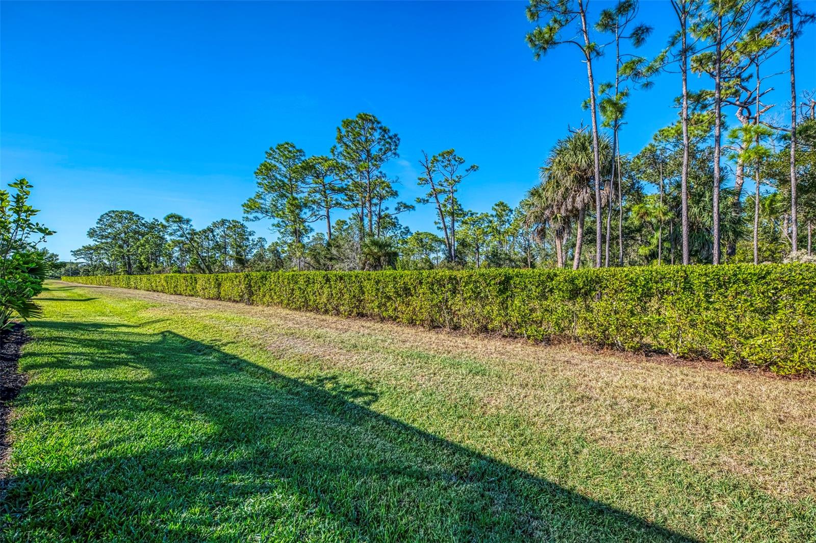 Image 58 of 66 For 15952 Honey Suckle Street