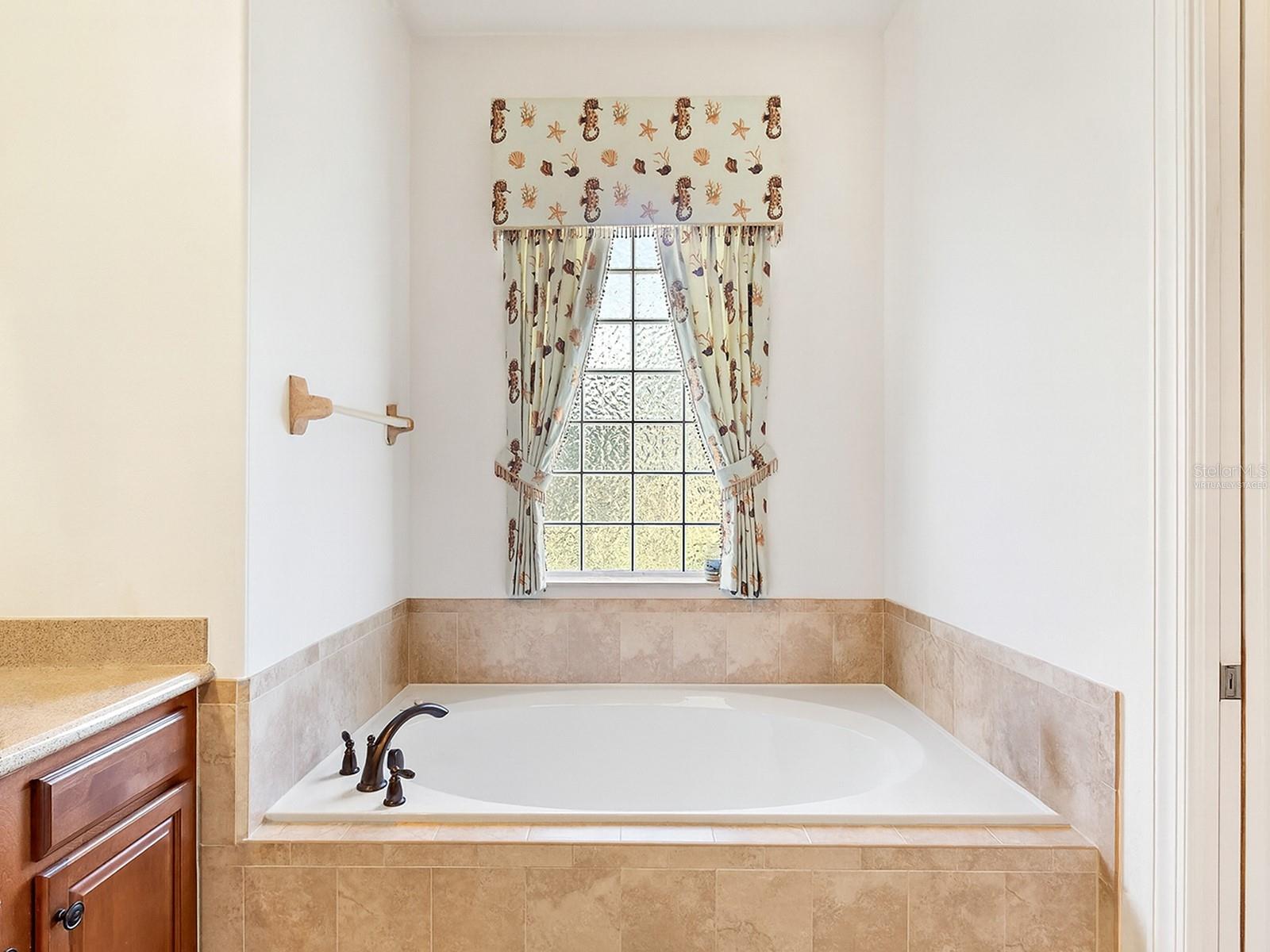 Image 18 of 43 For 2603 Myakka Marsh Lane