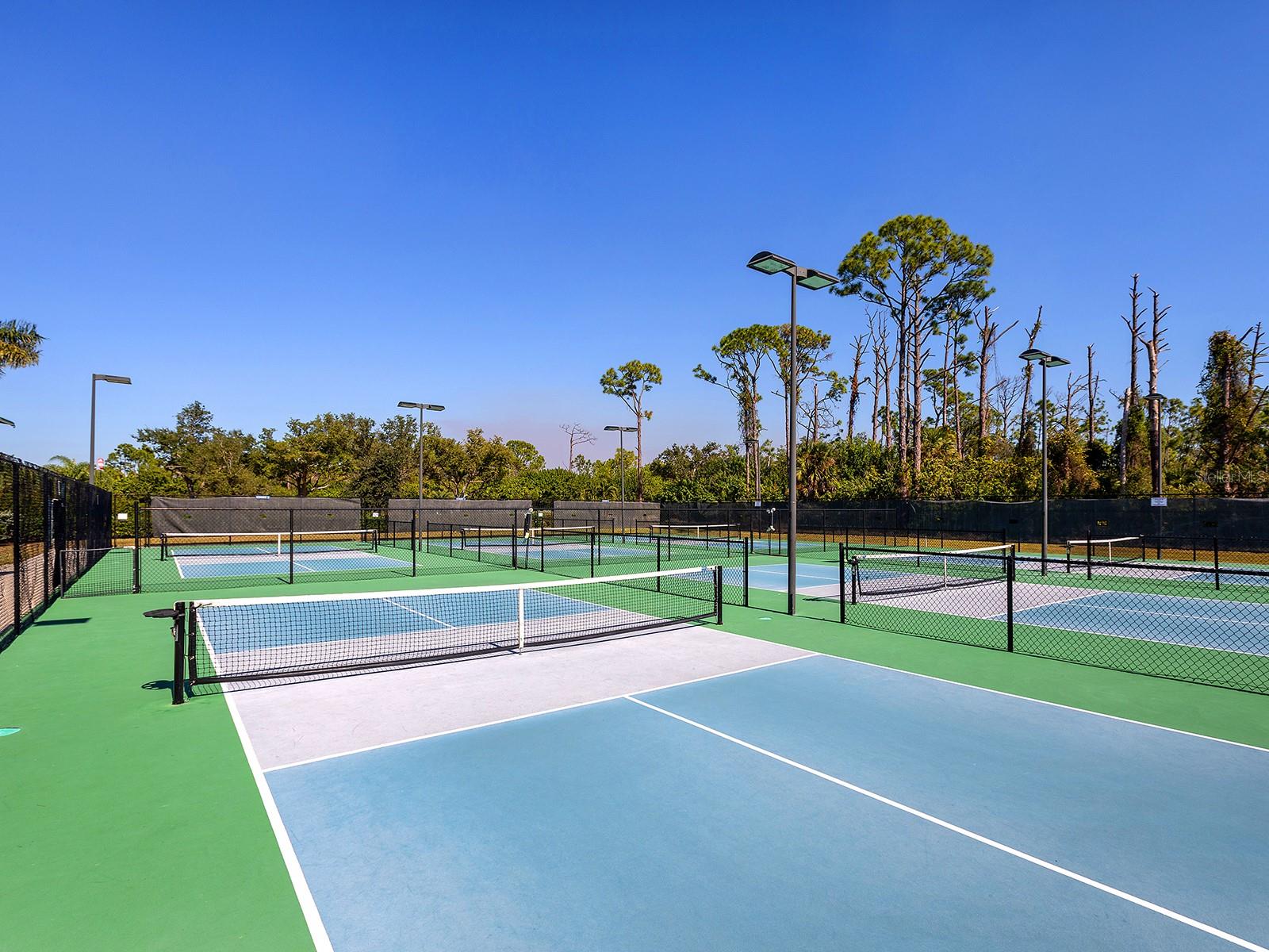 Image 39 of 43 For 2603 Myakka Marsh Lane