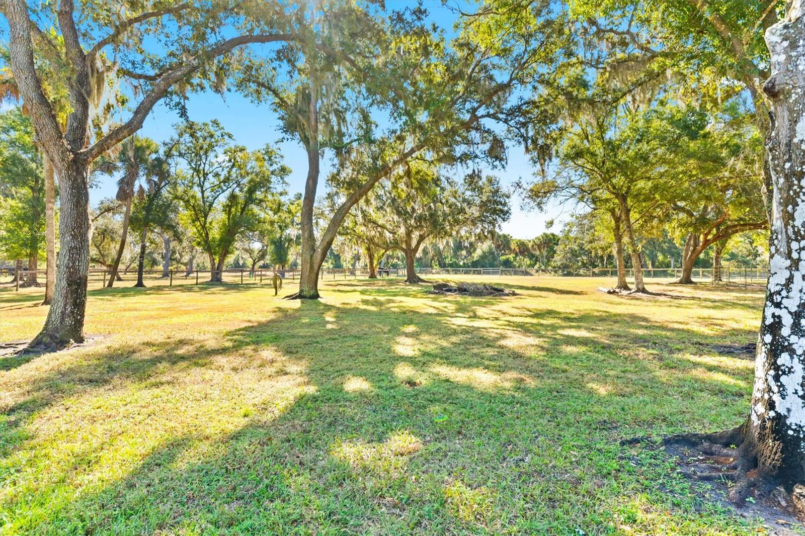 Image 7 of 42 For 3971 Albin Avenue