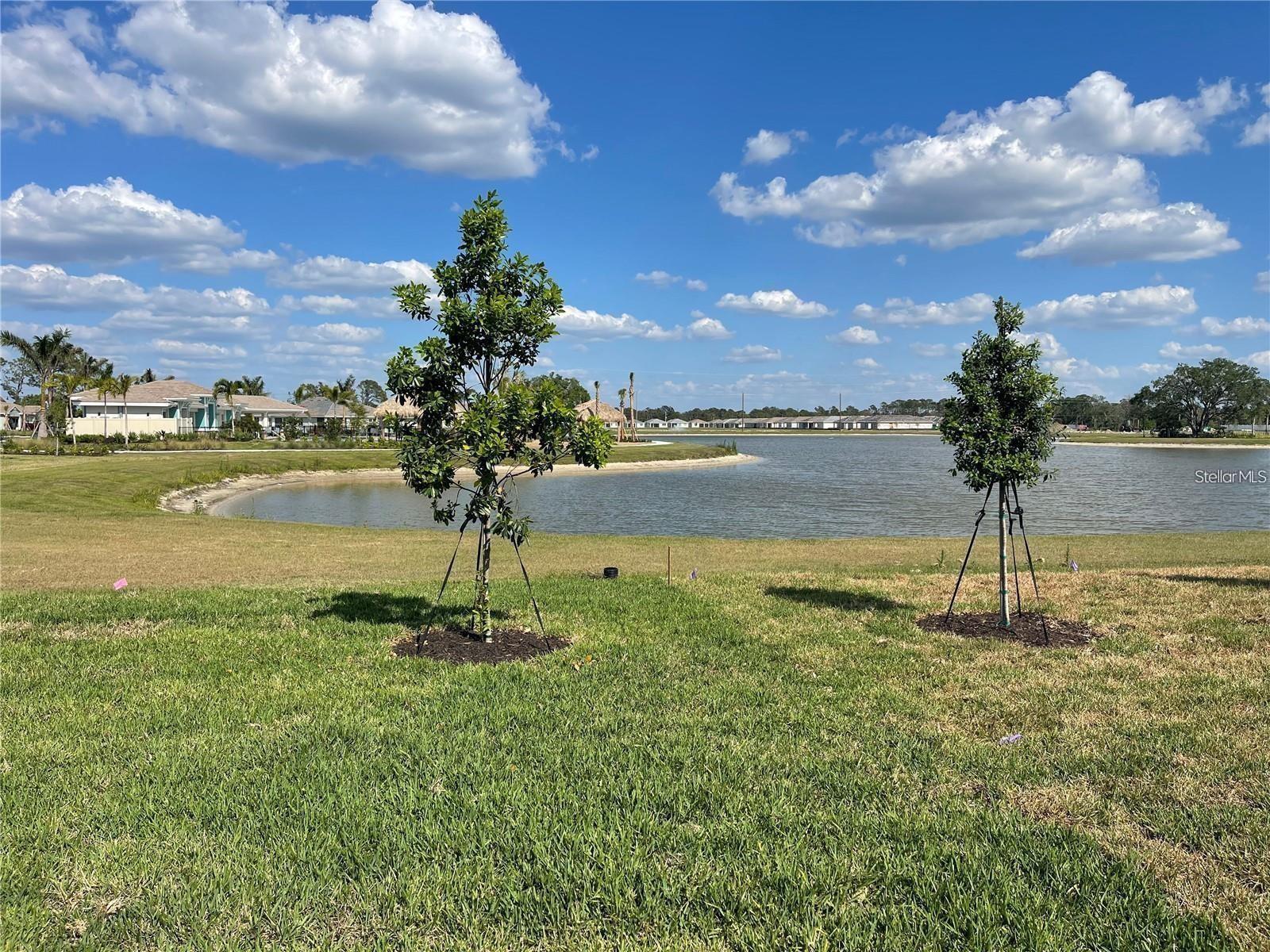 Image 3 of 17 For 209 Ibiza Loop