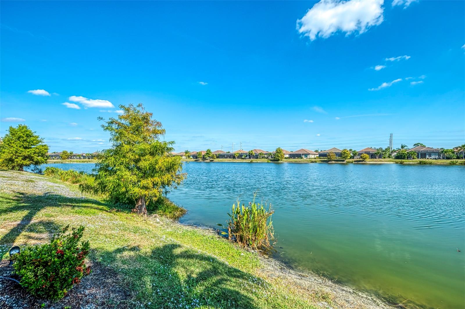 Image 52 of 73 For 26813 Weiskopf Drive