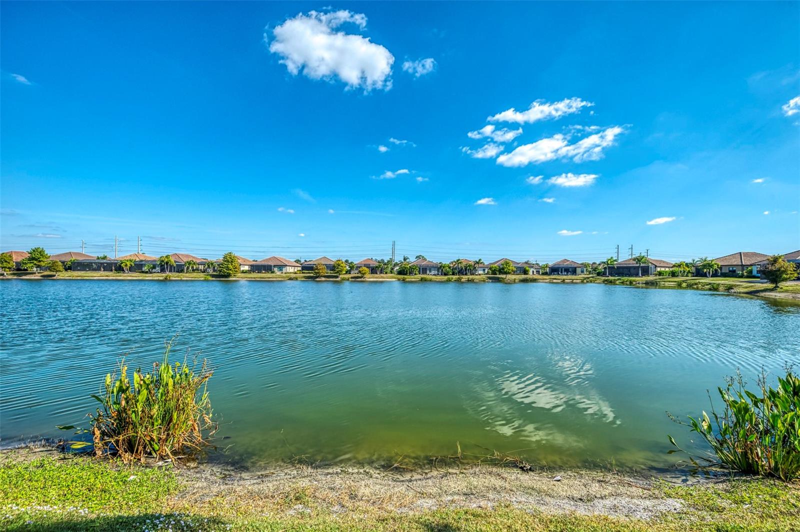 Image 53 of 73 For 26813 Weiskopf Drive