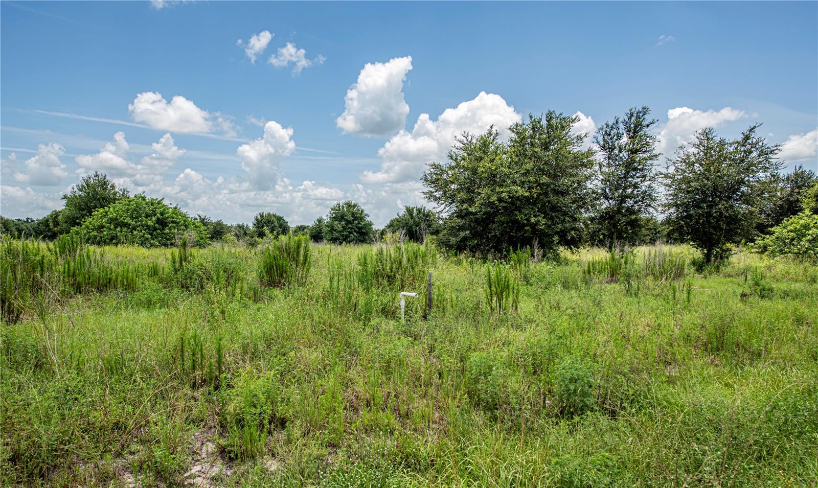 Image 33 of 36 For Sw Hull Avenue