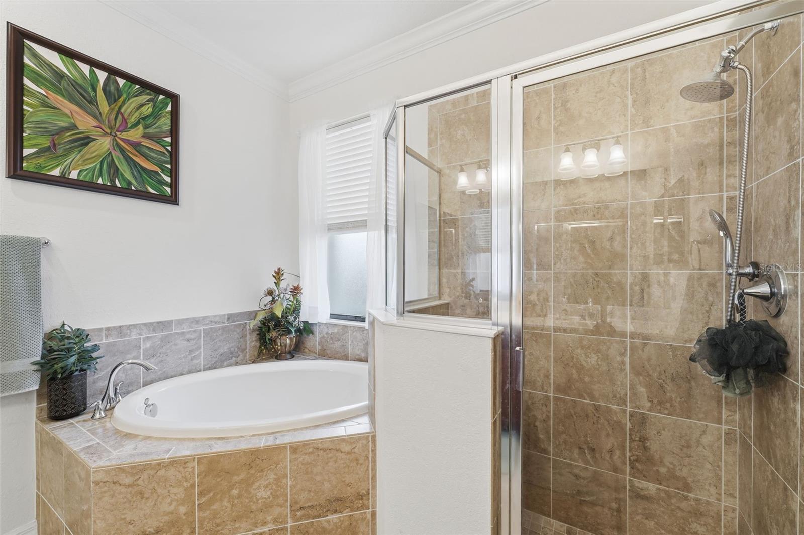 Image 20 of 36 For 12611 Garibaldi Lane