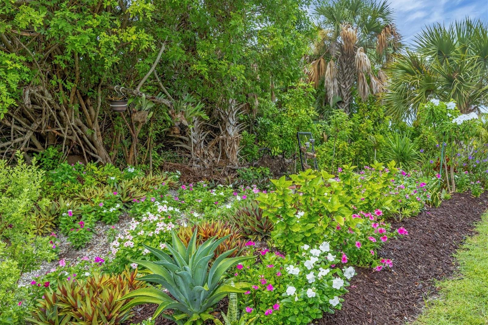 Image 37 of 56 For 2694 Hopwood Road