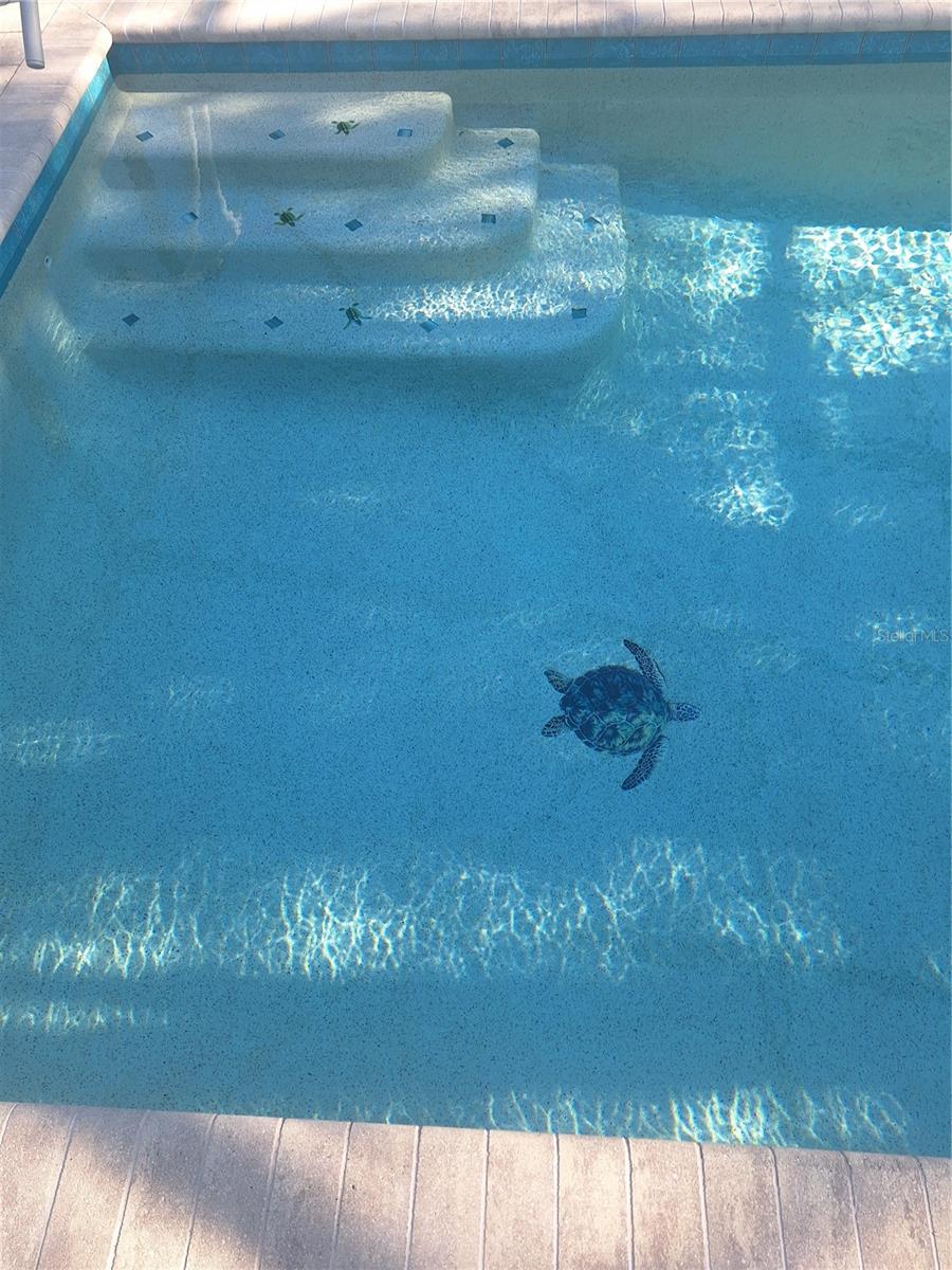 Image 35 of 36 For 516 Serata Street