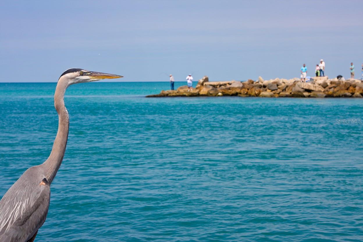 Image 49 of 62 For 950 Tarpon Center Drive 305