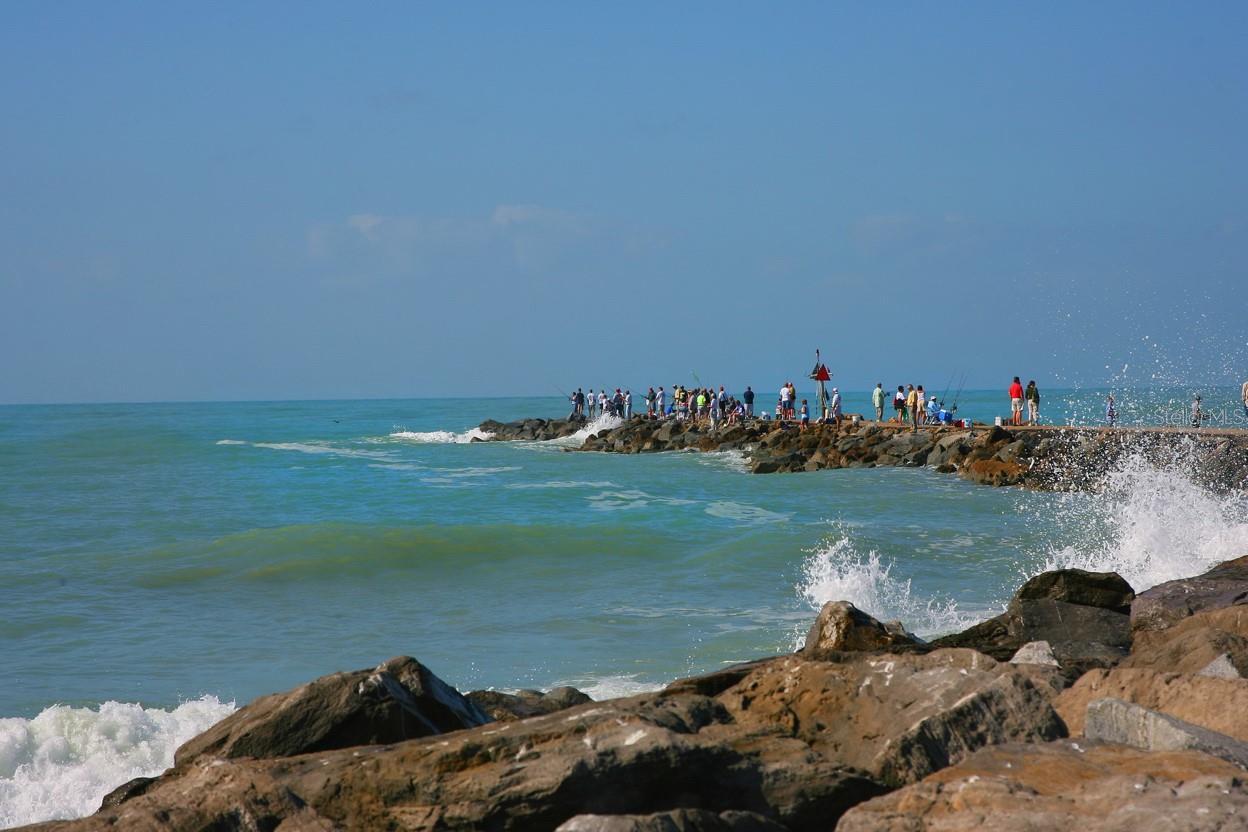 Image 54 of 62 For 950 Tarpon Center Drive 305