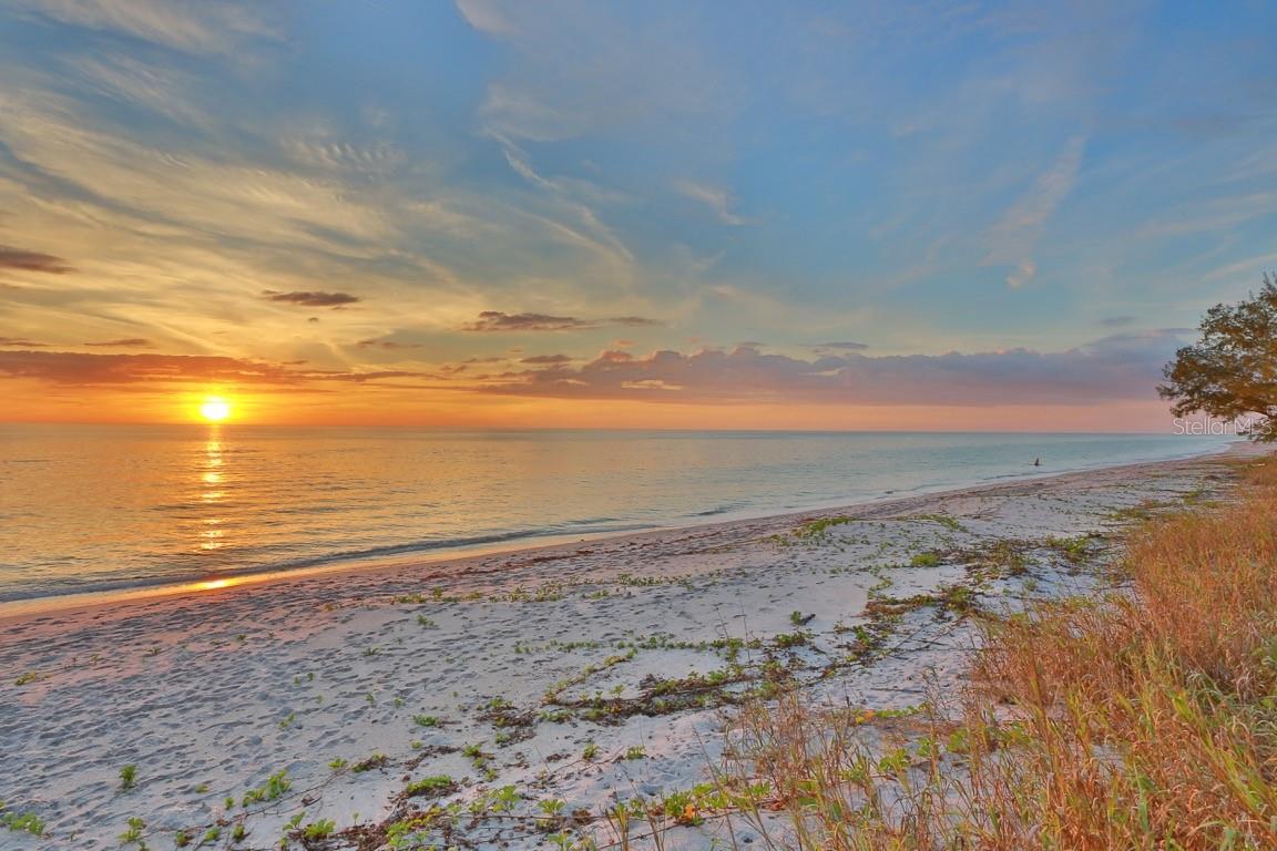 Image 8 of 62 For 950 Tarpon Center Drive 305