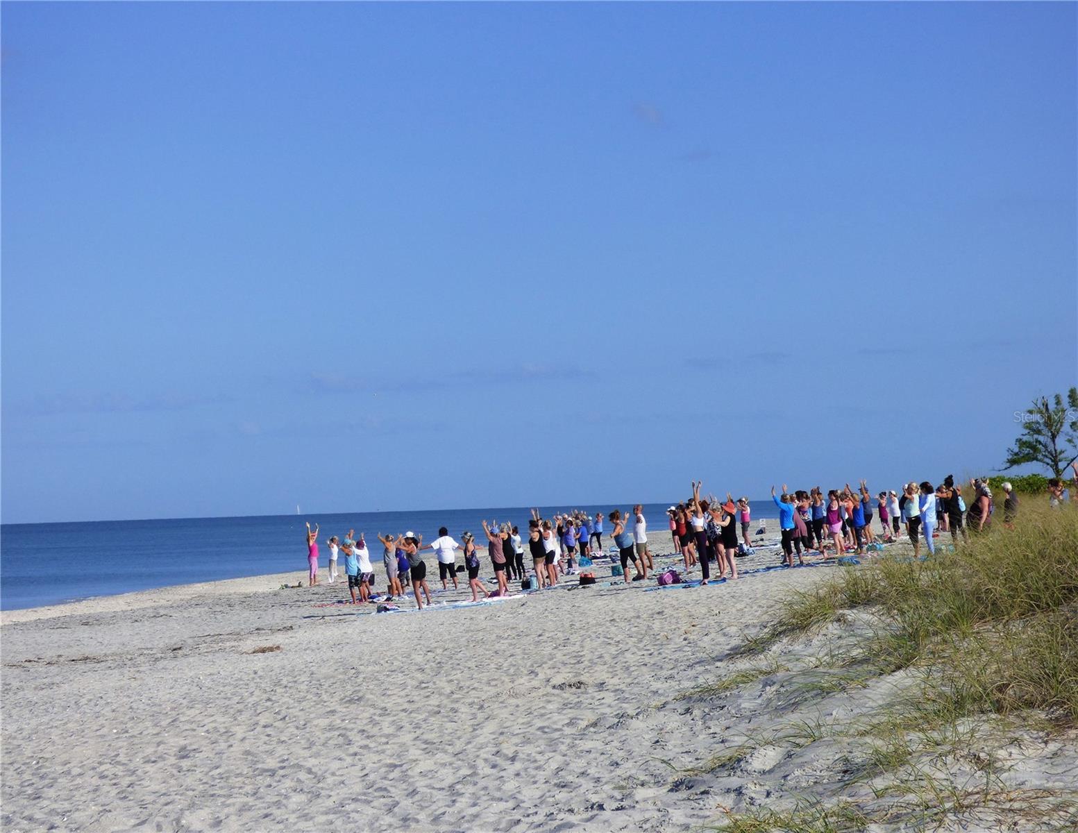 Image 34 of 37 For 18 Quails Run Boulevard 4