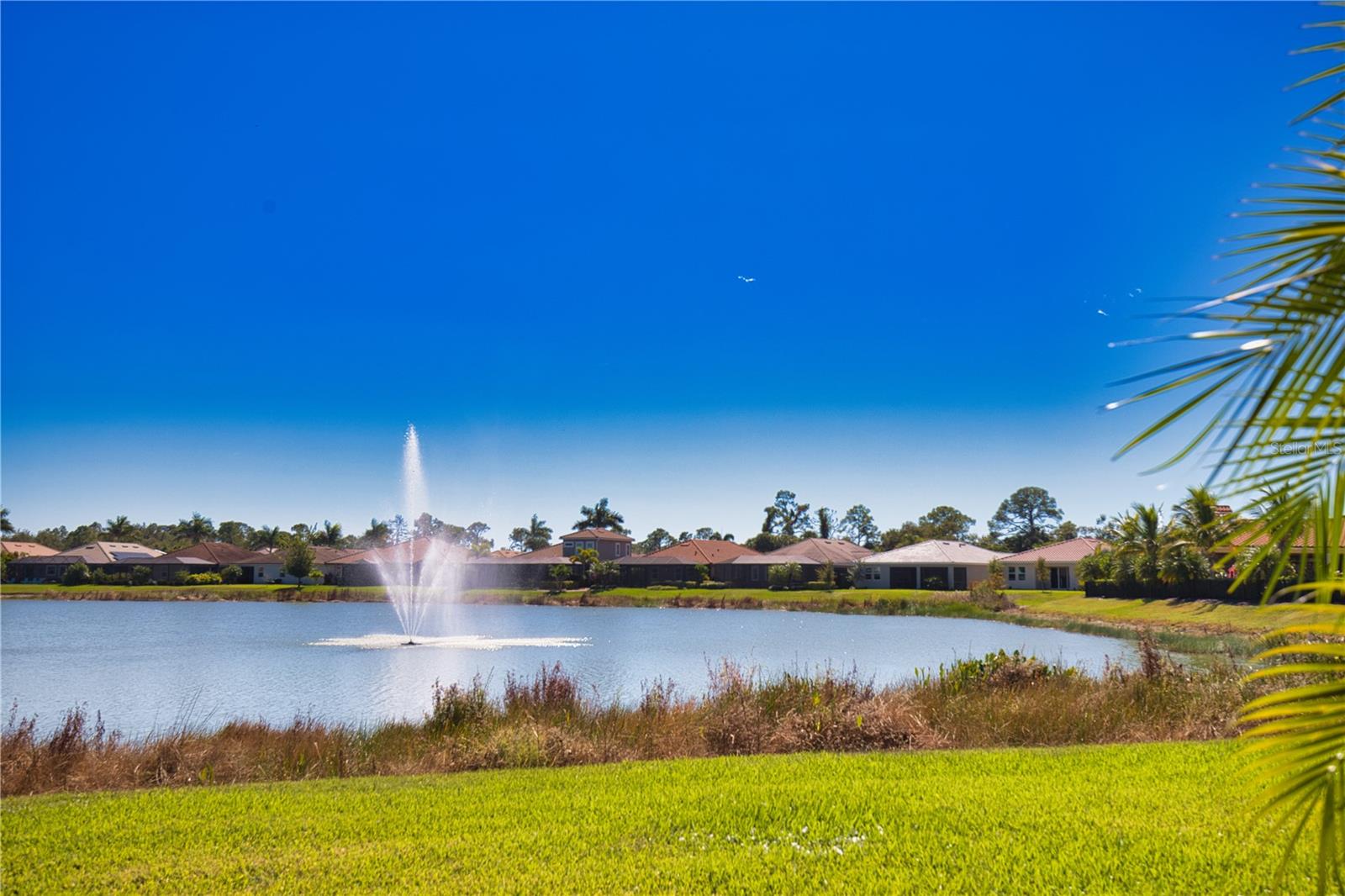 Image 52 of 66 For 11689 Tapestry Lane