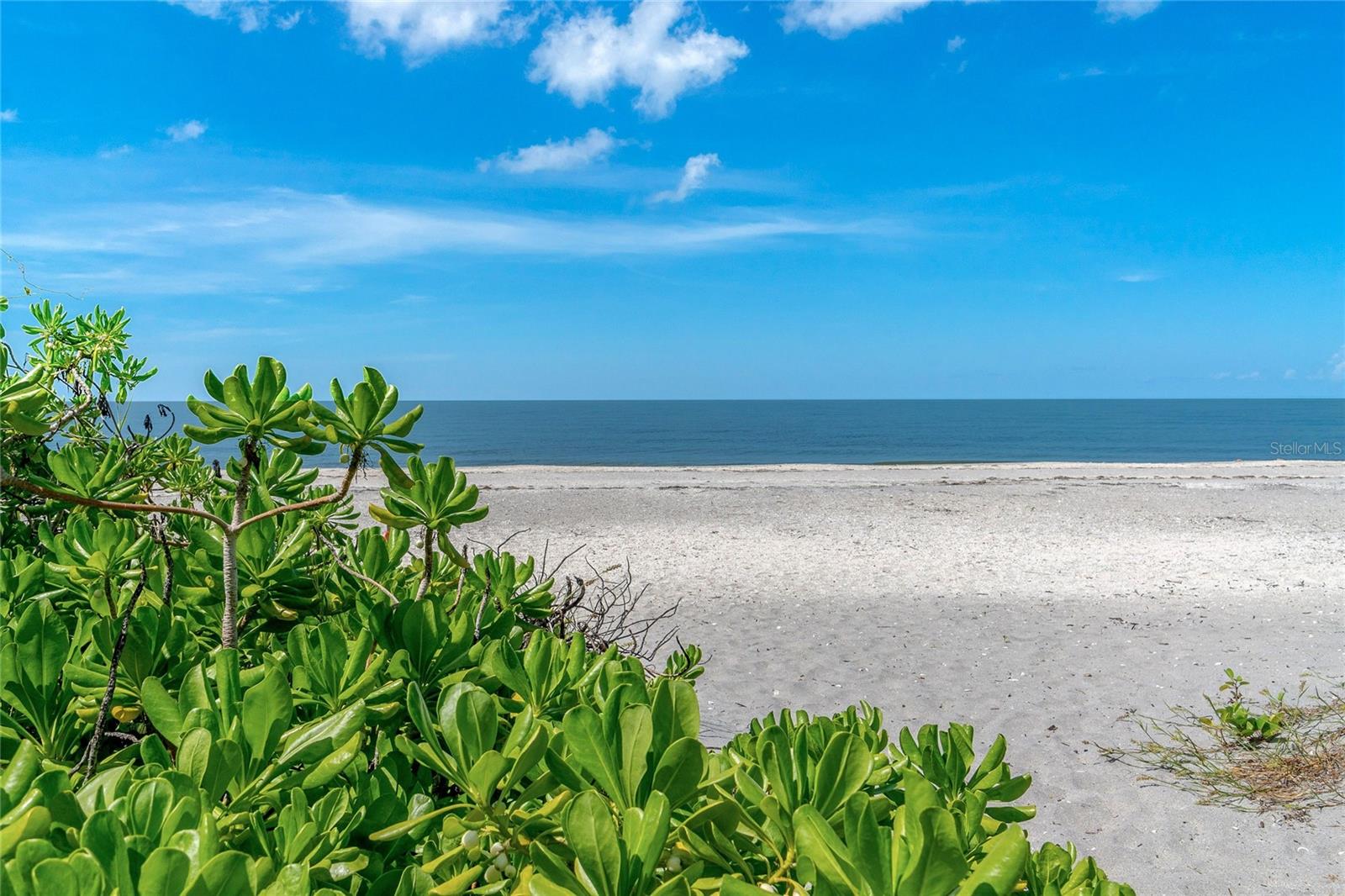 Image 31 of 33 For 595 Seminole Drive