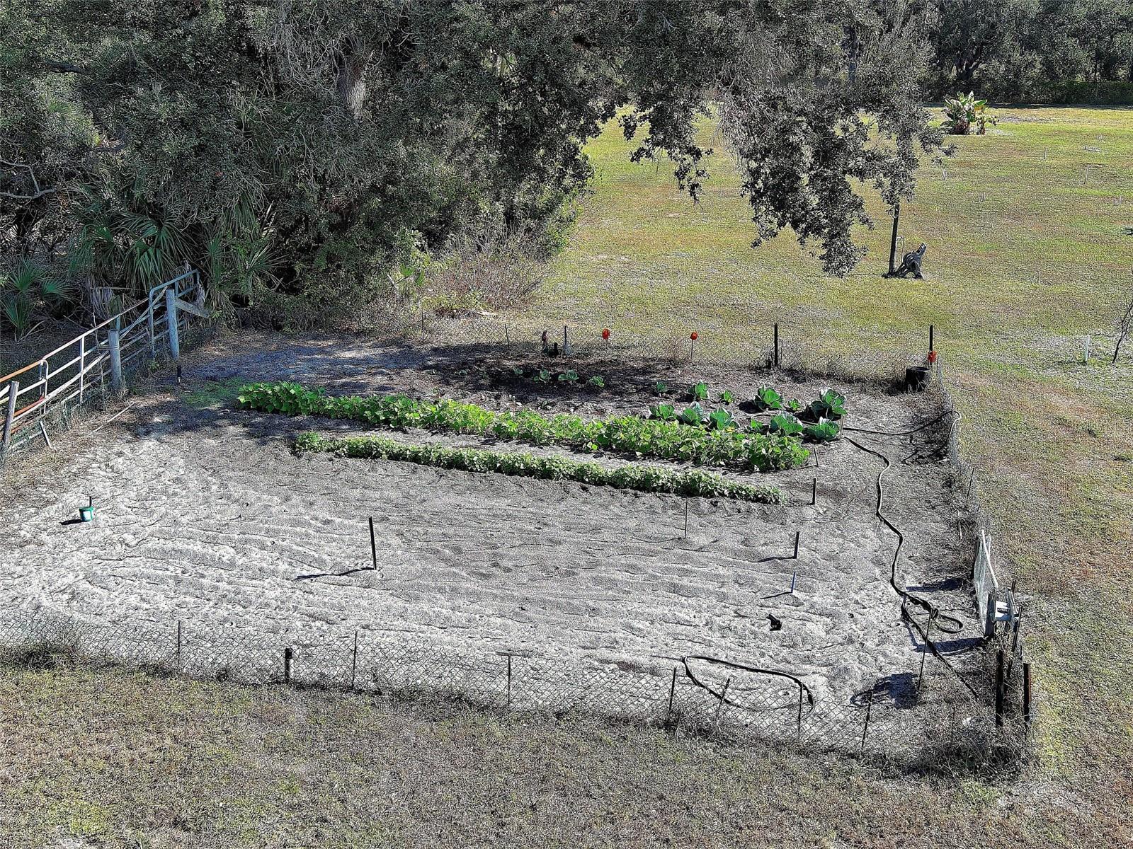 Image 55 of 75 For 1817 Curry Avenue 57