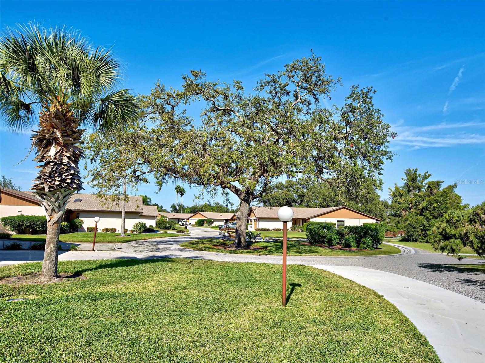 Image 7 of 75 For 1817 Curry Avenue 57