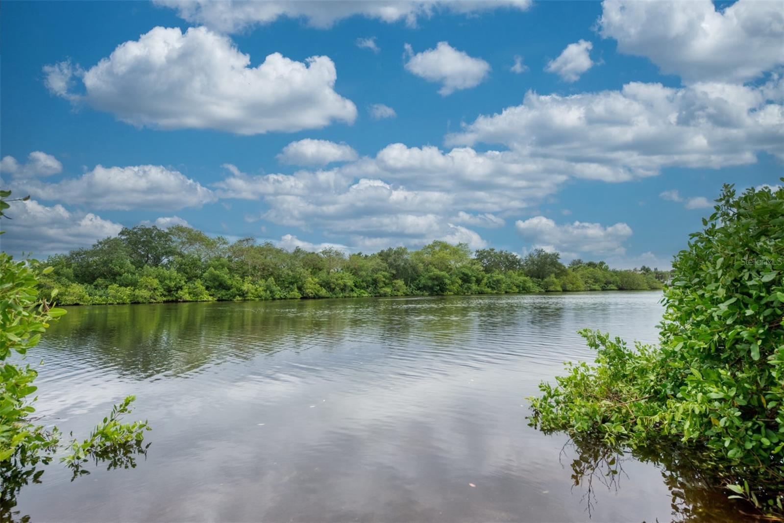 Image 61 of 83 For 812 Garland Avenue