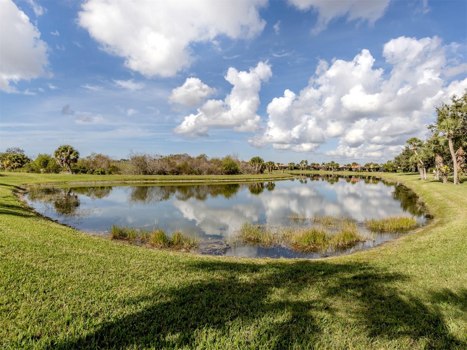 Image 29 of 70 For 102 Treviso Court