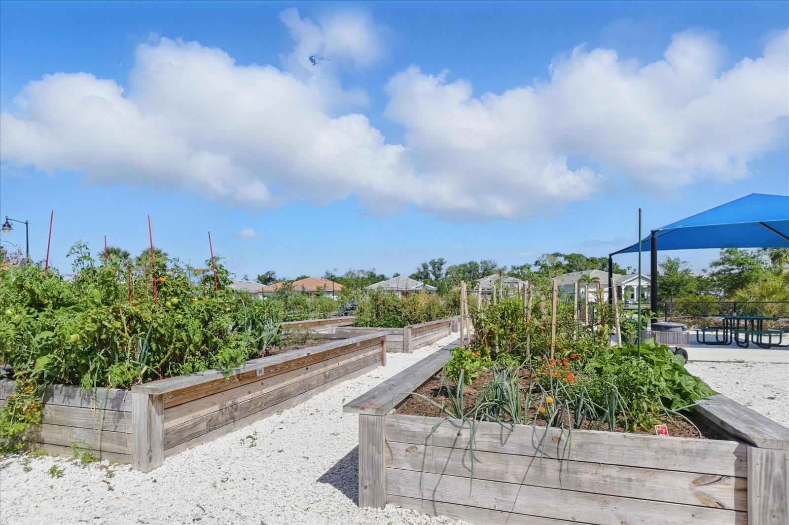 Image 54 of 58 For 10136 Coral Shore Drive